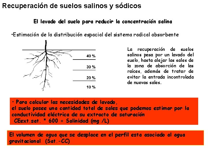 Recuperación de suelos salinos y sódicos El lavado del suelo para reducir la concentración