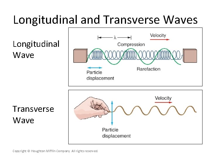 Longitudinal and Transverse Waves Longitudinal Wave Transverse Wave Copyright © Houghton Mifflin Company. All