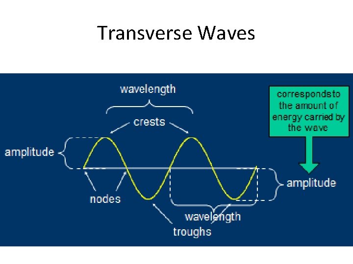 Transverse Waves 