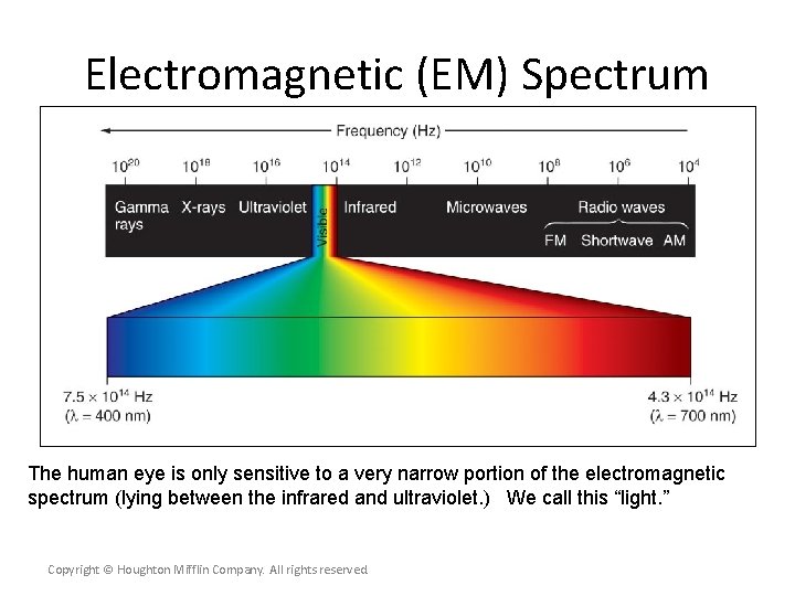 Electromagnetic (EM) Spectrum The human eye is only sensitive to a very narrow portion
