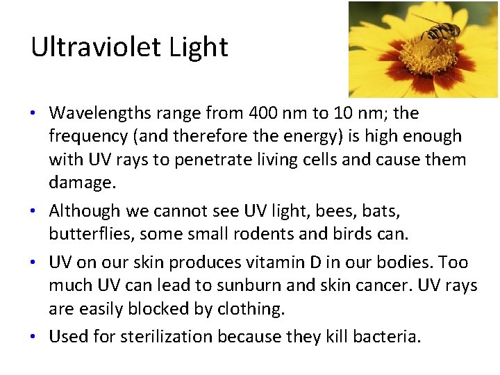 Ultraviolet Light • Wavelengths range from 400 nm to 10 nm; the frequency (and