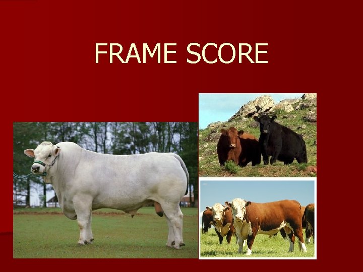 FRAME SCORE FRAME SCORE