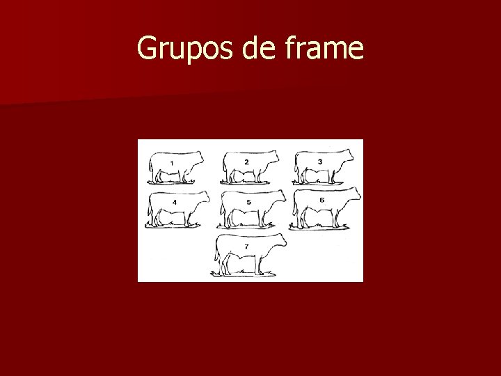 Grupos de frame Grupos de frame