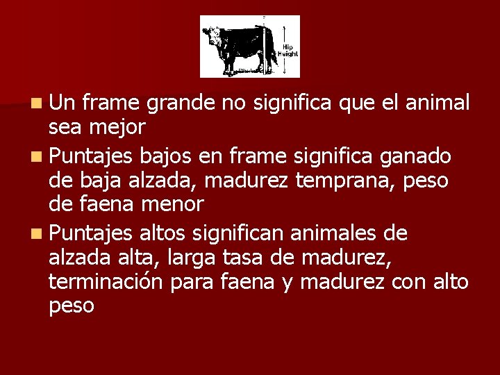 n Un frame grande no significa que el animal sea mejor n Puntajes bajos n Un frame grande no significa que el animal sea mejor n Puntajes bajos