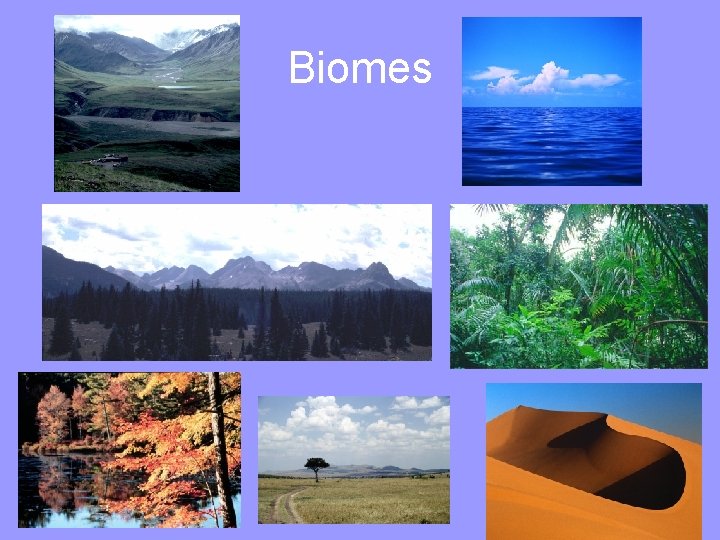 Biomes 