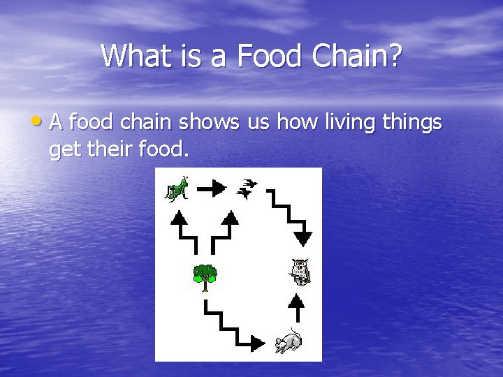 What is a Food Chain? • A food chain shows us how living things