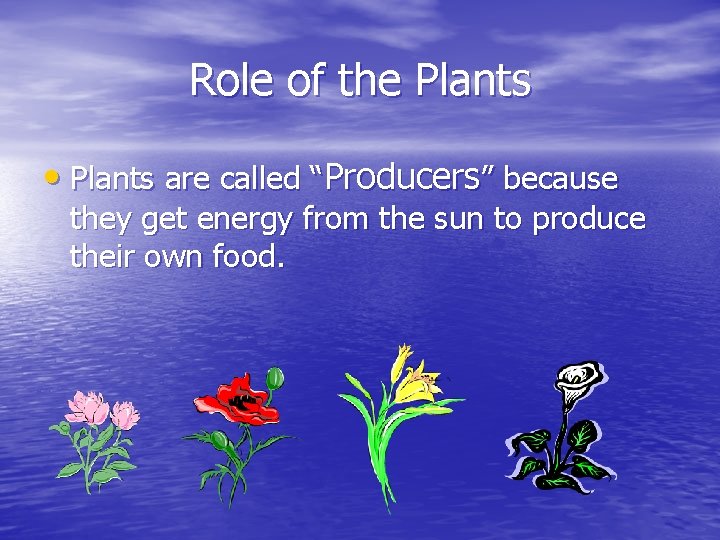 Role of the Plants • Plants are called “Producers” because they get energy from