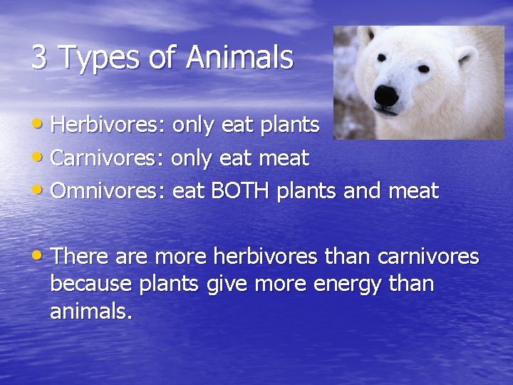 3 Types of Animals • Herbivores: only eat plants • Carnivores: only eat meat