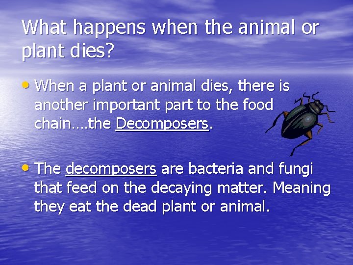 What happens when the animal or plant dies? • When a plant or animal