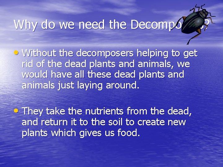 Why do we need the Decomposers? • Without the decomposers helping to get rid