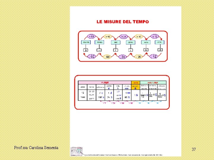 Prof. ssa Carolina Sementa 37 