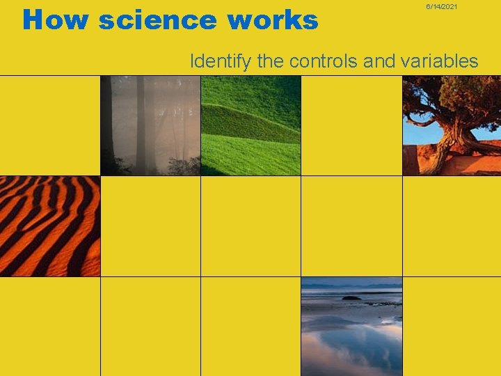 How science works 6/14/2021 Identify the controls and variables How science works 6/14/2021 Identify the controls and variables