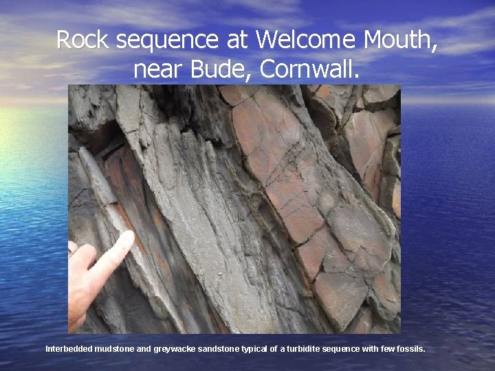 Rock sequence at Welcome Mouth, near Bude, Cornwall. Interbedded mudstone and greywacke sandstone typical