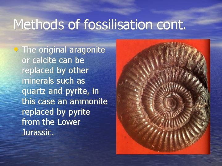 Methods of fossilisation cont. • The original aragonite or calcite can be replaced by