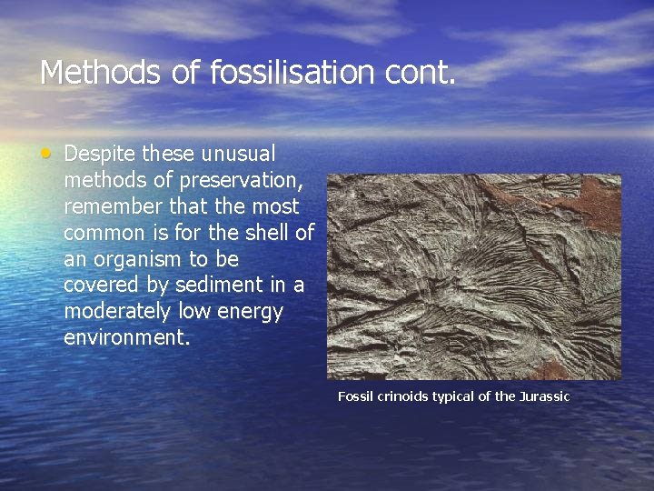 Methods of fossilisation cont. • Despite these unusual methods of preservation, remember that the