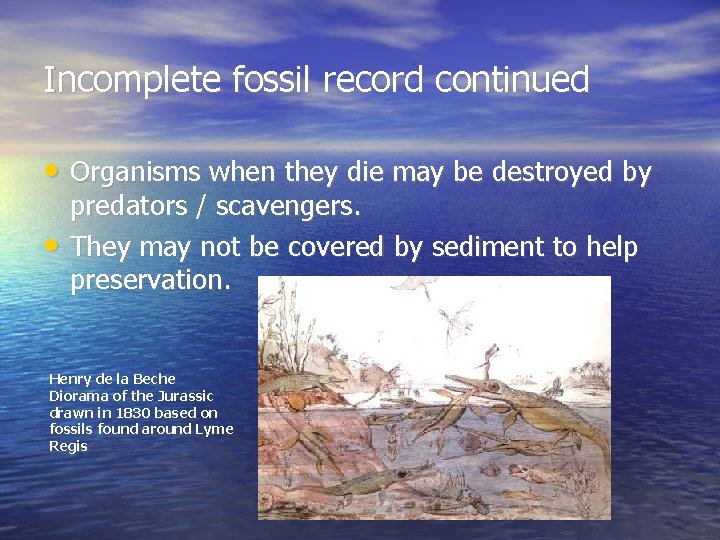 Incomplete fossil record continued • Organisms when they die may be destroyed by •
