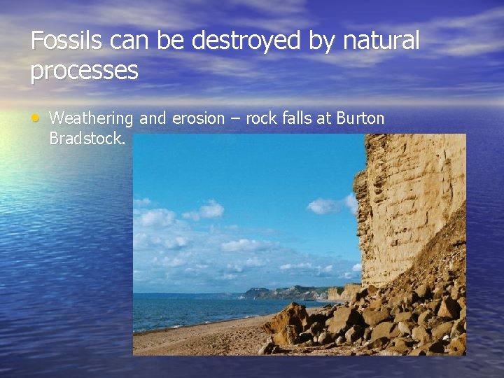 Fossils can be destroyed by natural processes • Weathering and erosion – rock falls