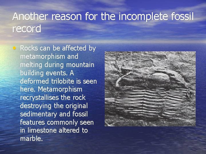 Another reason for the incomplete fossil record • Rocks can be affected by metamorphism