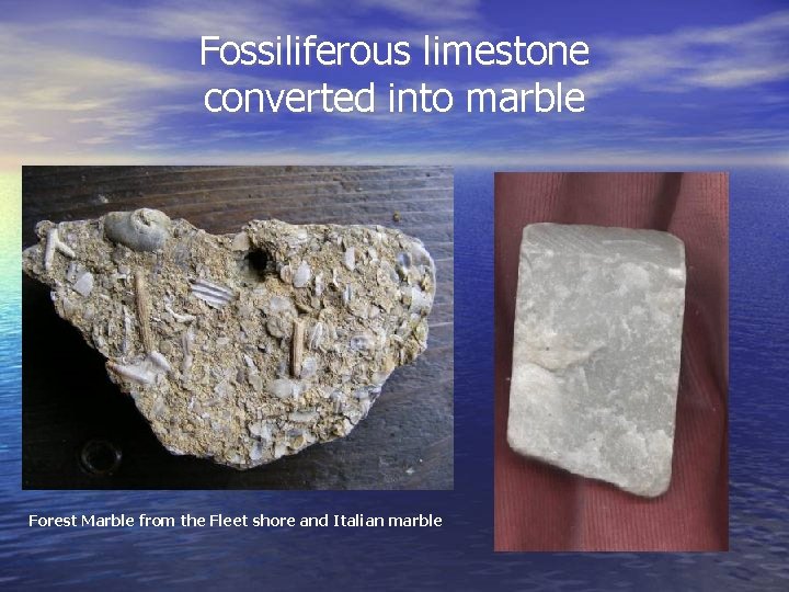 Fossiliferous limestone converted into marble Forest Marble from the Fleet shore and Italian marble