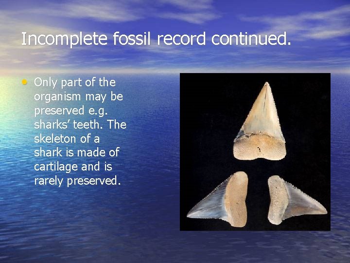 Incomplete fossil record continued. • Only part of the organism may be preserved e.