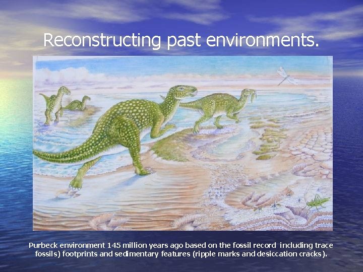 Reconstructing past environments. Purbeck environment 145 million years ago based on the fossil record