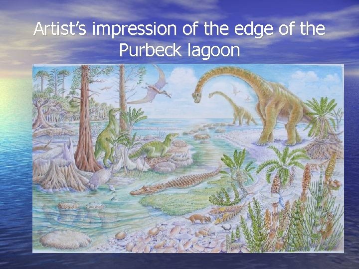Artist’s impression of the edge of the Purbeck lagoon 