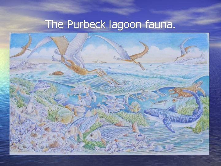 The Purbeck lagoon fauna. 