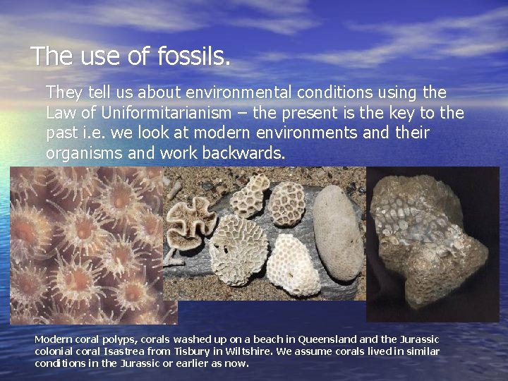 The use of fossils. They tell us about environmental conditions using the Law of