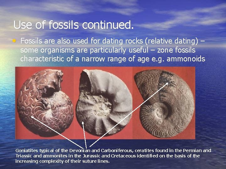 Use of fossils continued. • Fossils are also used for dating rocks (relative dating)