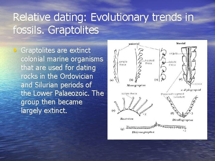 Relative dating: Evolutionary trends in fossils. Graptolites • Graptolites are extinct colonial marine organisms