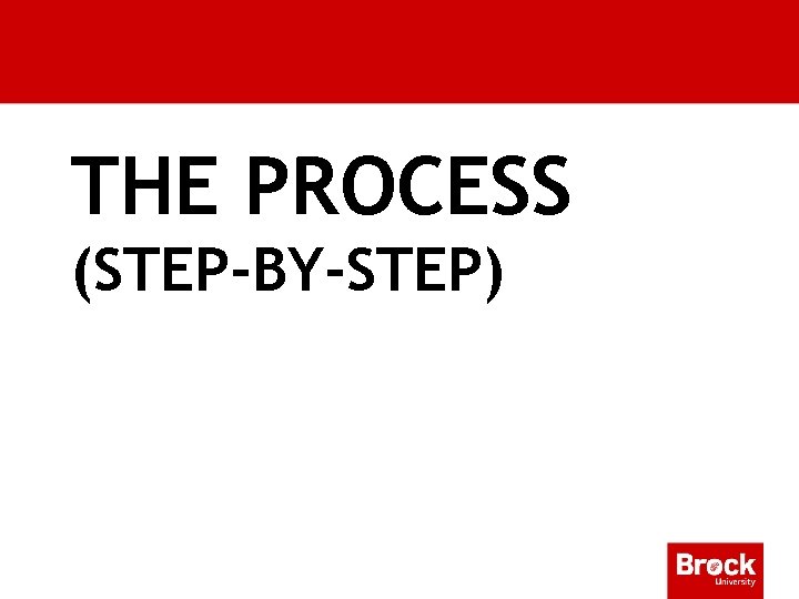 THE PROCESS (STEP-BY-STEP) 