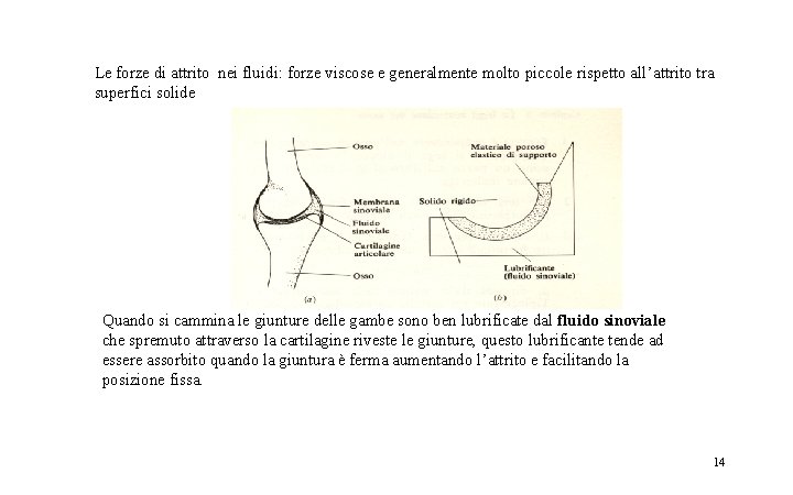 Le forze di attrito nei fluidi: forze viscose e generalmente molto piccole rispetto all’attrito