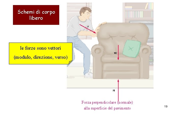 Schemi di corpo libero le forze sono vettori (modulo, direzione, verso) Forza perpendicolare (normale)