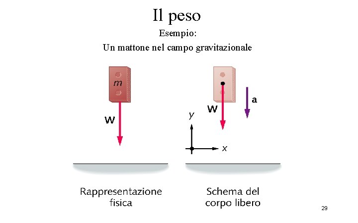 Il peso Esempio: Un mattone nel campo gravitazionale 29 