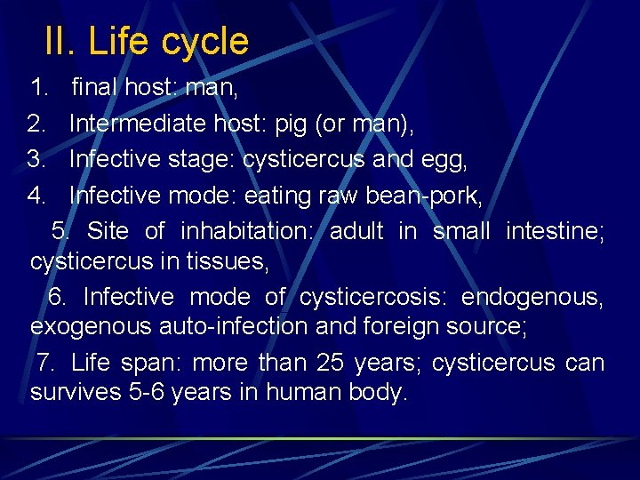 II. Life cycle 1. 2. 3. 4. final host: man, Intermediate host: pig (or