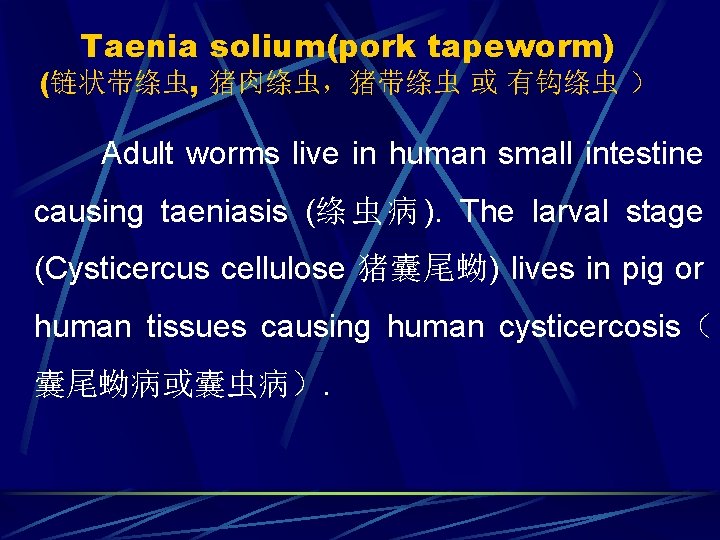 Taenia solium(pork tapeworm) (链状带绦虫, 猪肉绦虫，猪带绦虫 或 有钩绦虫 ） Adult worms live in human small