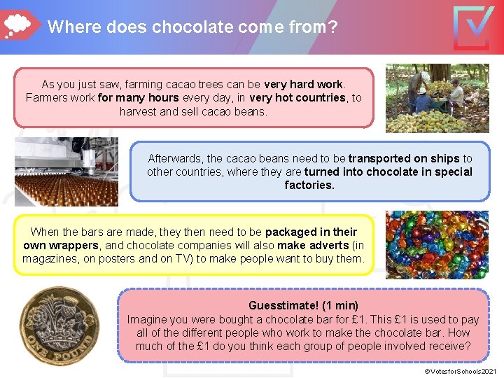 Where does chocolate come from? As you just saw, farming cacao trees can be