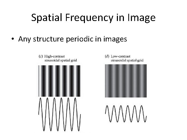 Spatial Frequency in Image • Any structure periodic in images 