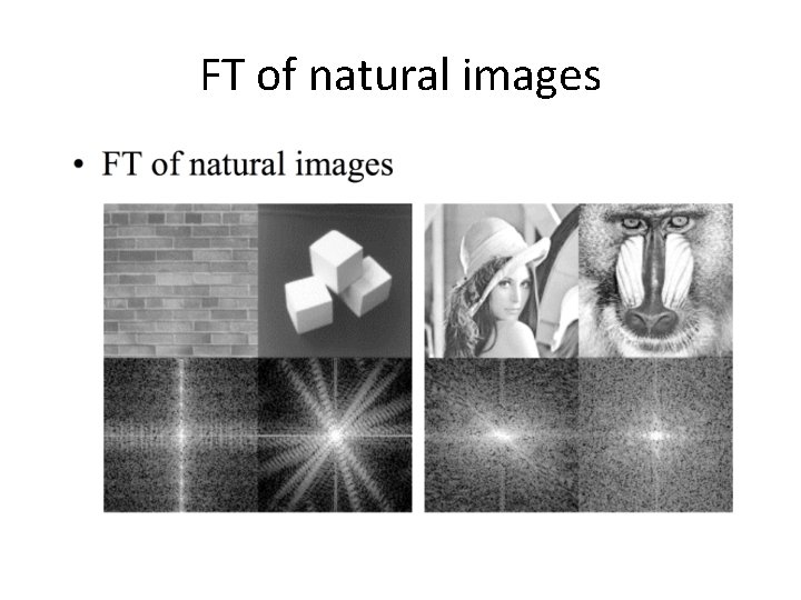 FT of natural images 