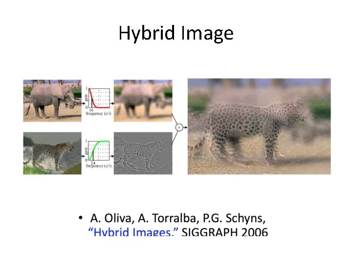 Hybrid Image 