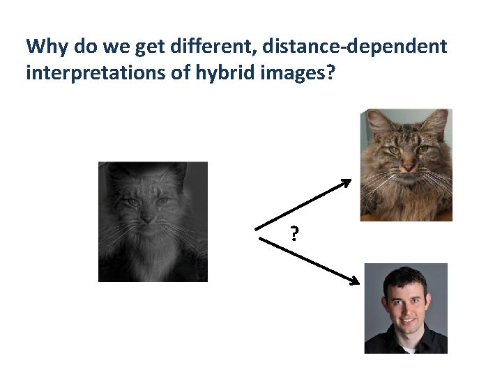 Why do we get different, distance-dependent interpretations of hybrid images? ? 