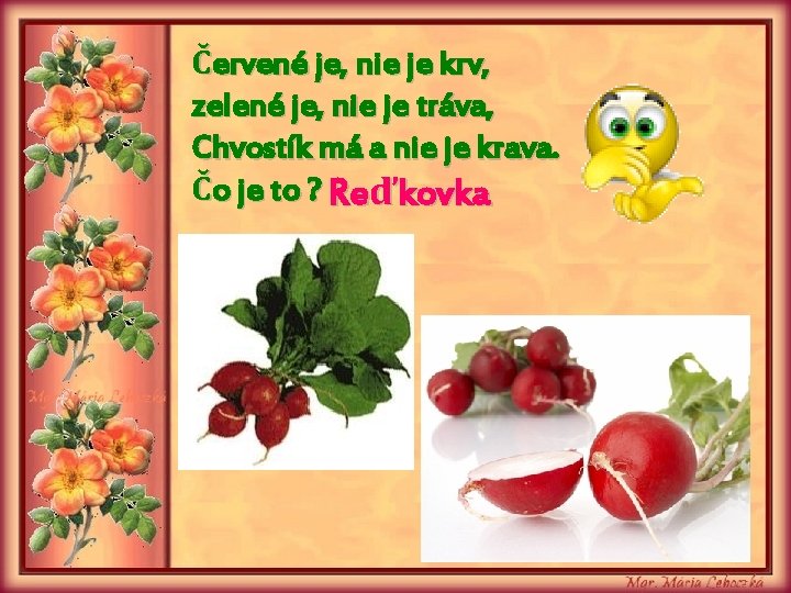 Červené je, nie je krv, zelené je, nie je tráva, Chvostík má a nie