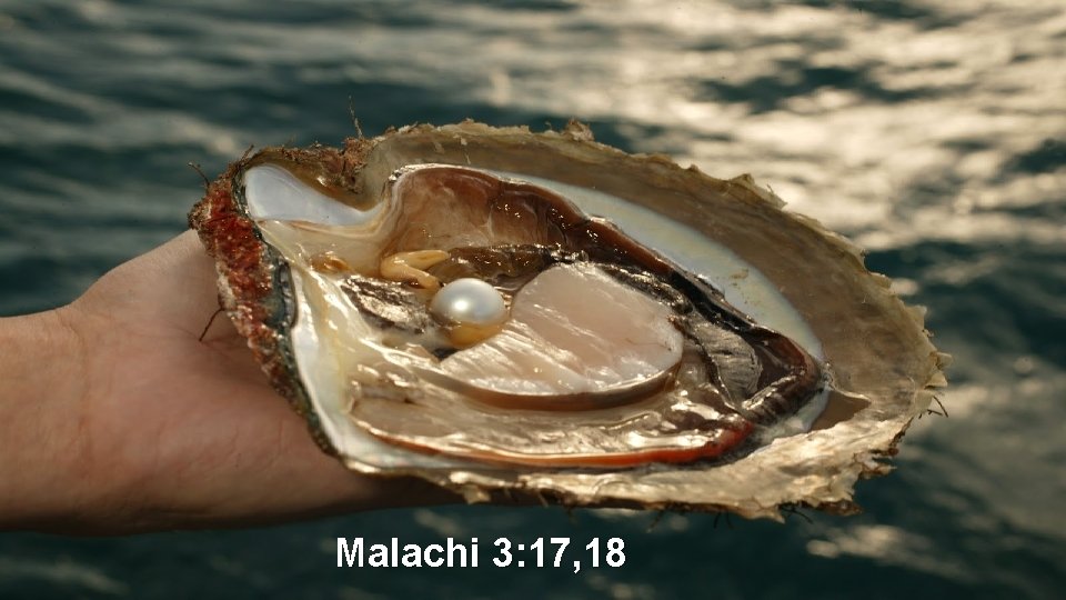 Malachi 3: 17, 18 
