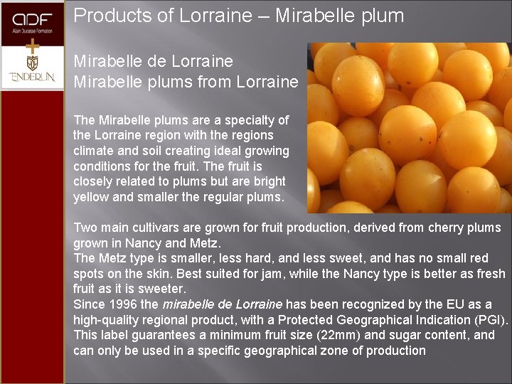 Products of Lorraine – Mirabelle plum Mirabelle de Lorraine Mirabelle plums from Lorraine The