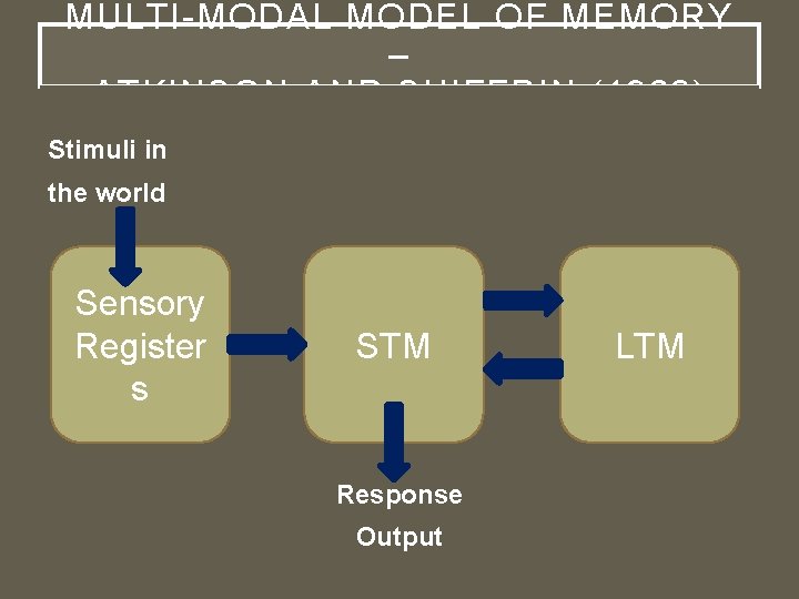 MULTI-MODAL MODEL OF MEMORY – ATKINSON AND SHIFFRIN (1968) Stimuli in the world Sensory