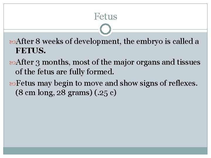 Fetus After 8 weeks of development, the embryo is called a FETUS. After 3