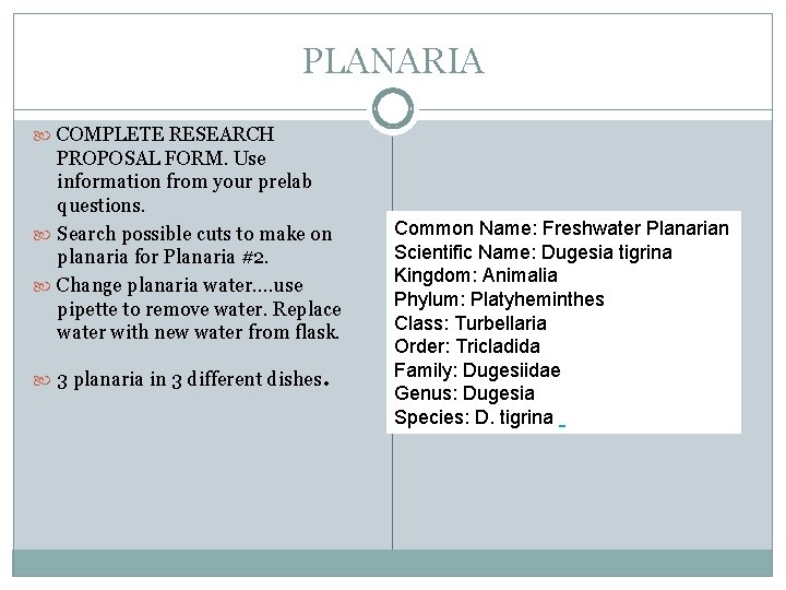 PLANARIA COMPLETE RESEARCH PROPOSAL FORM. Use information from your prelab questions. Search possible cuts