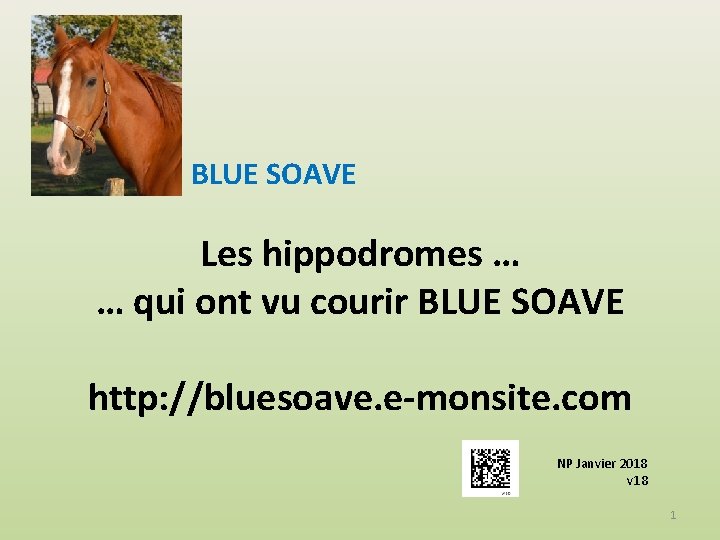 BLUE SOAVE Les hippodromes … … qui ont vu courir BLUE SOAVE http: //bluesoave.