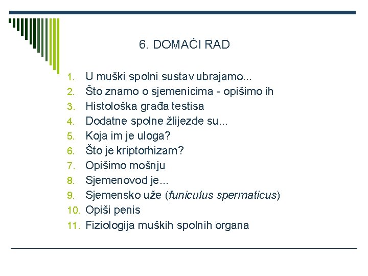 6. DOMAĆI RAD 1. 2. 3. 4. 5. 6. 7. 8. 9. 10. 11.