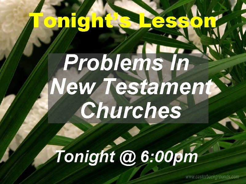 Tonight’s Lesson Problems In New Testament Churches Tonight @ 6: 00 pm 